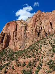 Fototapeta premium Zion National Park in Utah