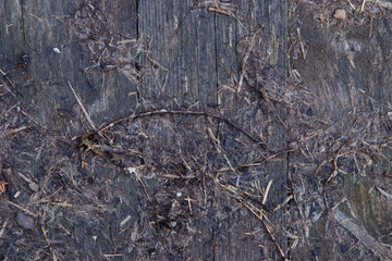 soft focus background last year's old grass on wood.