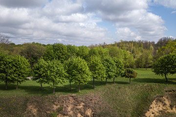 Fototapeta na wymiar Aerial view of green summer forest or a park with many fresh trees.