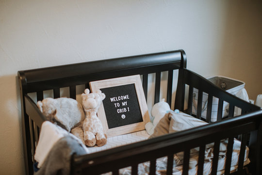 Adorable Crib for Newborn in Nursey