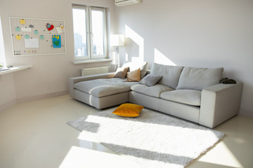 Cozy bright living room without people on sunny day