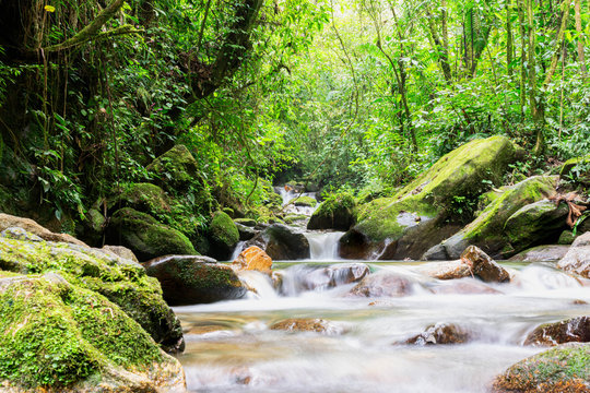 Colombian River