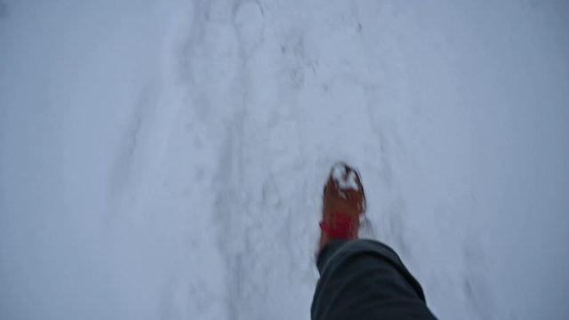 Caminando en la nieve 1