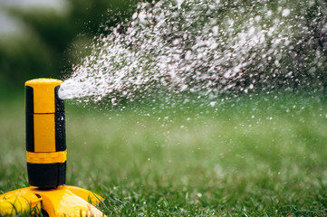 Irrigation system in action. Grass lawn care. Automatic watering the lawn in the country. Close-up