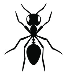  black ants on a white background