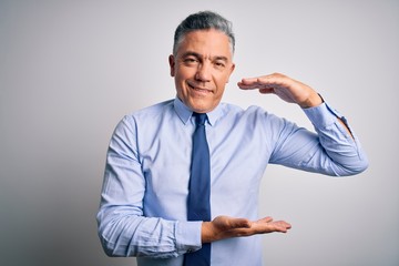 Middle age handsome grey-haired business man wearing elegant shirt and tie gesturing with hands showing big and large size sign, measure symbol. Smiling looking at the camera. Measuring concept.