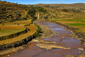 Rivière bordée de terres cultivées dans les hautes terres de Madagascar