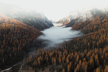 Misty Dolomites valley