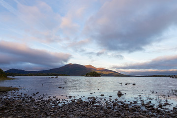 Cow Island After Sunrise in Lough Leane