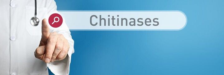 Chitinases. Doctor in smock points with his finger to a search box. The term Chitinases is in focus. Symbol for illness, health, medicine