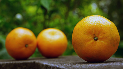 Fototapeta na wymiar orange fruit on the table