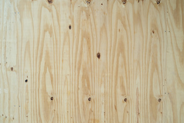 hojas de madera de triplay de pino natural con nudos