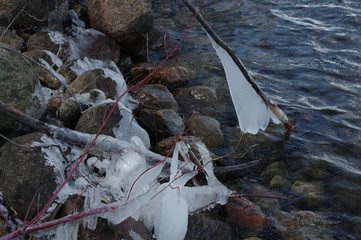 ice formations on lake shore rocks and vegetation