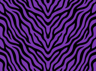 Fototapeta na wymiar Zebra stripes seamless pattern. Tiger stripes skin print design. Wild animal hide artwork background. Black and violet vector illustration