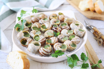 Escargots, traditional French cuisine: snails sauce Burgundy and baguette