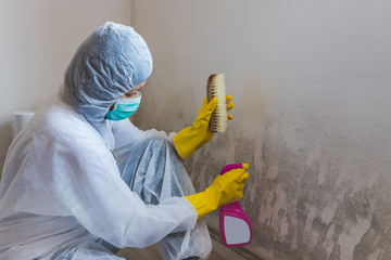 Worker of cleaning service removes the mold using antimicrobial spray and scrubbing brush.