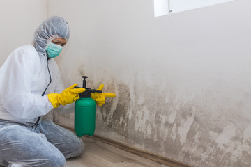 Female worker of cleaning service removes the mold using antimicrobial spray