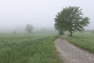 road in the countryside