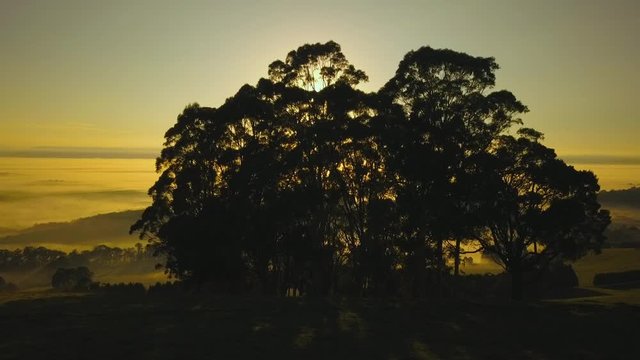 Sunrise over fog in valley, mt dandenong, melbourne australia