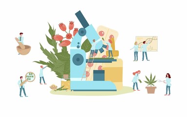 Naturophapy and traditional medicine, natural medicines and tablets of medicinal plant extracts, doctors with herbs, plants, microscope and healing products flat vector illustration. Homeopathy.