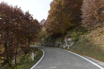 Obraz premium road in autumn