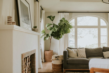 Cozy home living room - obrazy, fototapety, plakaty