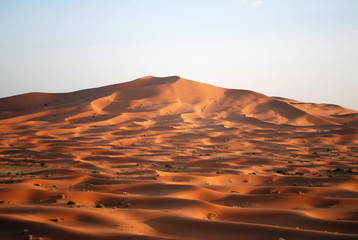 Fototapeta na wymiar Sahara Desert Sands at Sunset