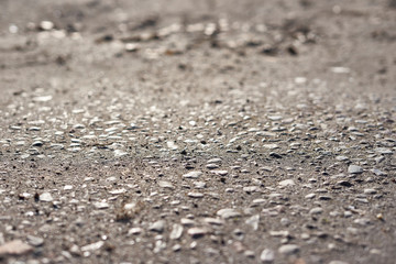 Closeup of a sandy road with little stones.