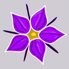 Fototapeta na wymiar Purple flower isolated on grey with a white outline