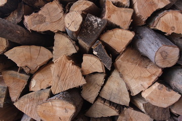 firewood 