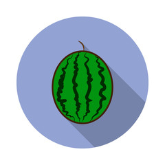 watermelon colored long shadow icon. Simple color vector of fruit icons for ui and ux, website or mobile application