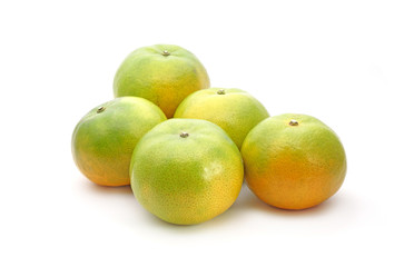 Tangerine Isolated on white background. Honeysuckle tangerine (or Sai Num Peung) is a most famous tangerine from Chiangmai Thailand.
