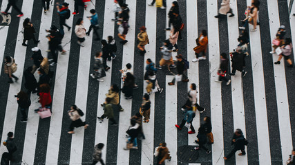 The Shibuya Crossing