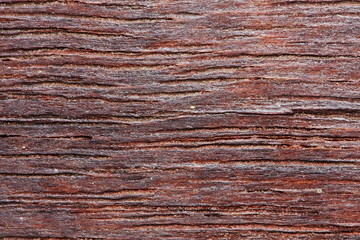 old wood texture in macro for background