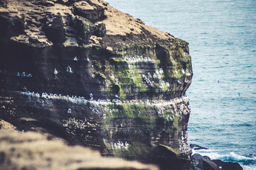 Cliff © AristilisPhotography