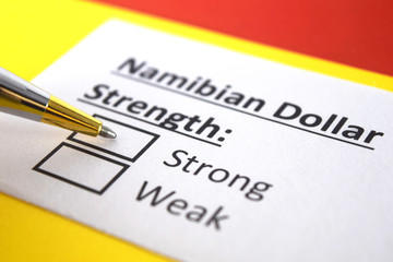 Obraz premium One person is answering question about strength of Namibian Dollar.