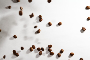Roasted coffee bean on white background