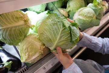 Hands holding cabbage in supermarket