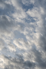 Blue Skies