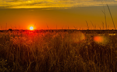 Fototapeta premium atardecer, cielo, paisaje, campa, sol, naturaleza, amanecer, césped, madrugada, anaranjada, verano, nube, acuático, nube, dehesa, árbol, anochecer, campesina, agricultura, trigo, alba, lago, chacras, 