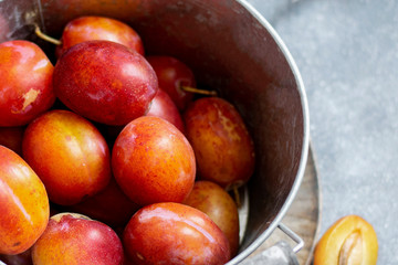 Freshly picked plums