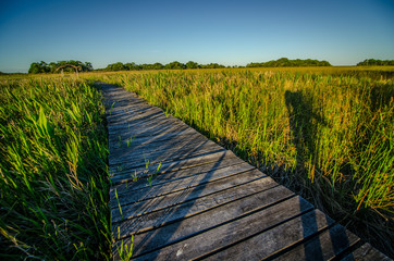 cielo, paisaje, naturaleza, camino, césped, carretera, campa, bridge, verde, pasarela, madera,...