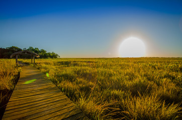 cielo, paisaje, campa, naturaleza, césped, carretera, camino, verano, verde, dehesa, campo, azul,...