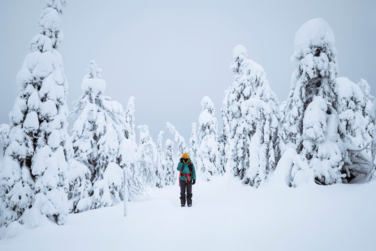 Landscape photographer trekking in a snowy Lapland, Finland