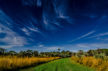 Obraz premium cielo, paisaje, campa, naturaleza, césped, dehesa, nube, verano, azul, verde, nube, campesina, árbol, otoñal, bosque, carretera, horizonte, agricultura, sol, campo, árbol, primavera, chacras, pacer, e