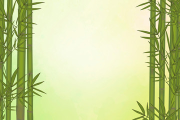 Fototapeta na wymiar Bamboo tree background