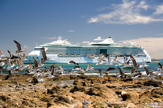 Gaviotas y Crucero Puerto de Punta del Este, Uruguay