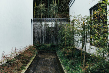 A path through the forest in the scenic area