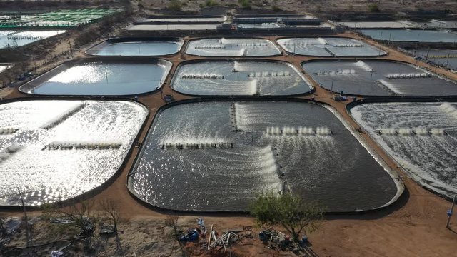 shrimp farm, prawn farming with with aerator pump oxygenation water near ocean. aerial view fish farm with ponds growing fish and shrimp and other seafood, Minh Dinh, Ninh Thuan, Vietnam