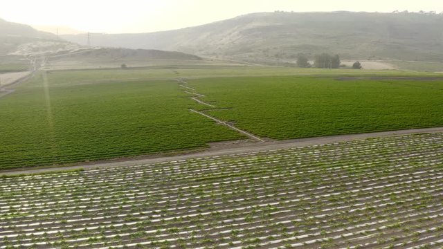 A large green field with a mountain in the background. UHD video. High quality footage